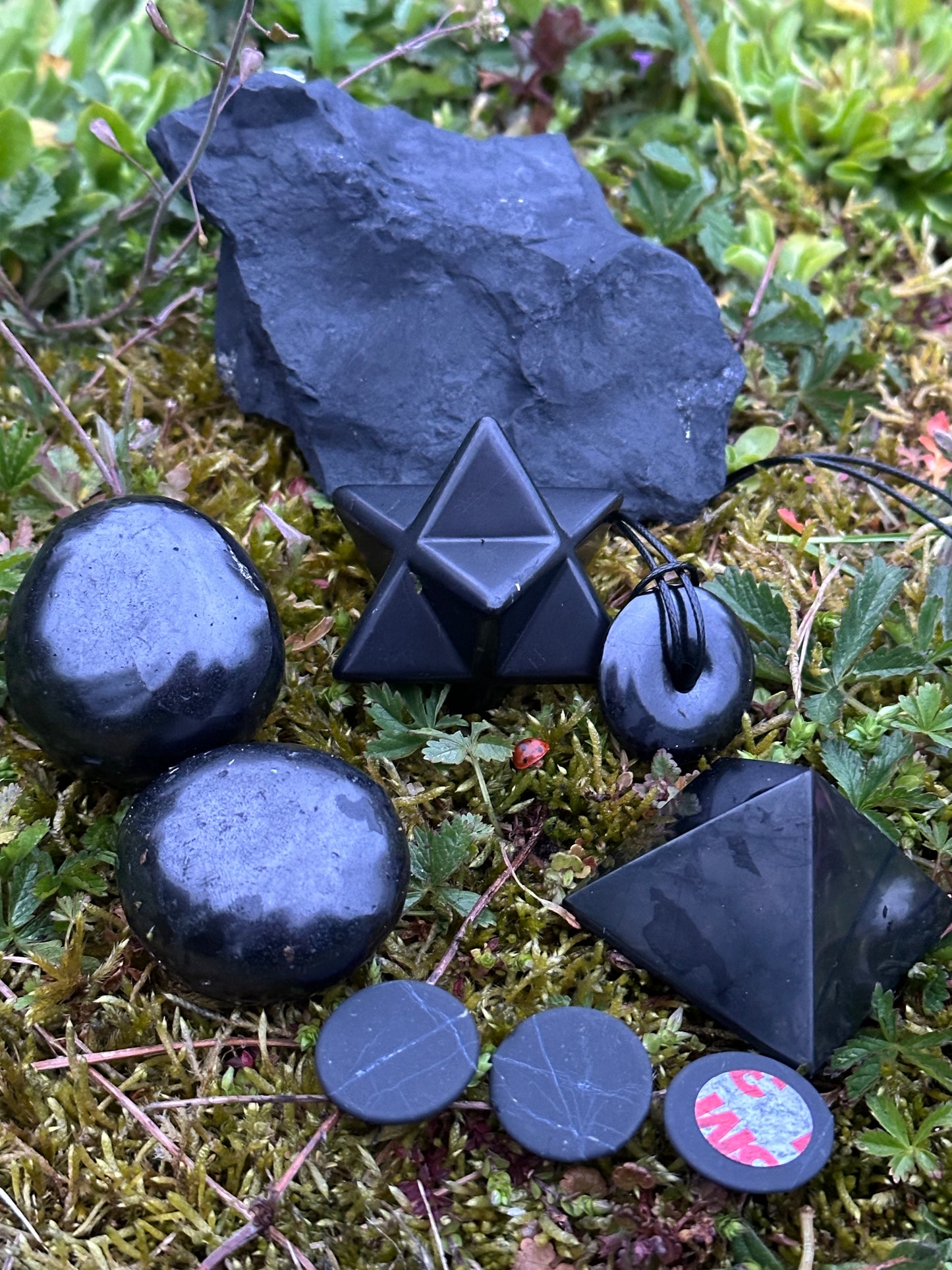 Shungite PRO Kit