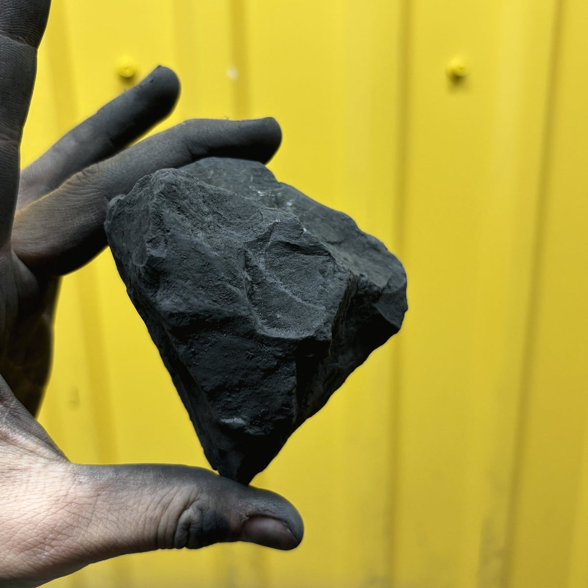 A large raw shungite chunk held in a hand for scale