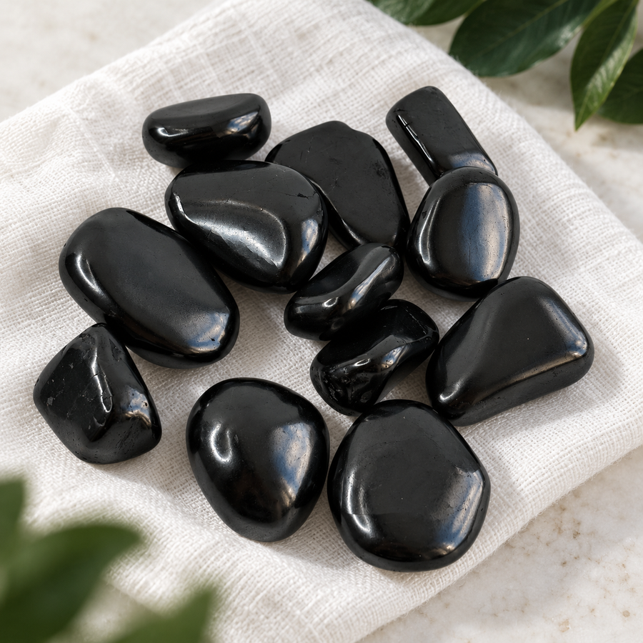 200 g of tumbled polished shungite stones