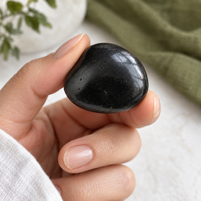 Tumbled Polished Shungite Stone — Single Piece