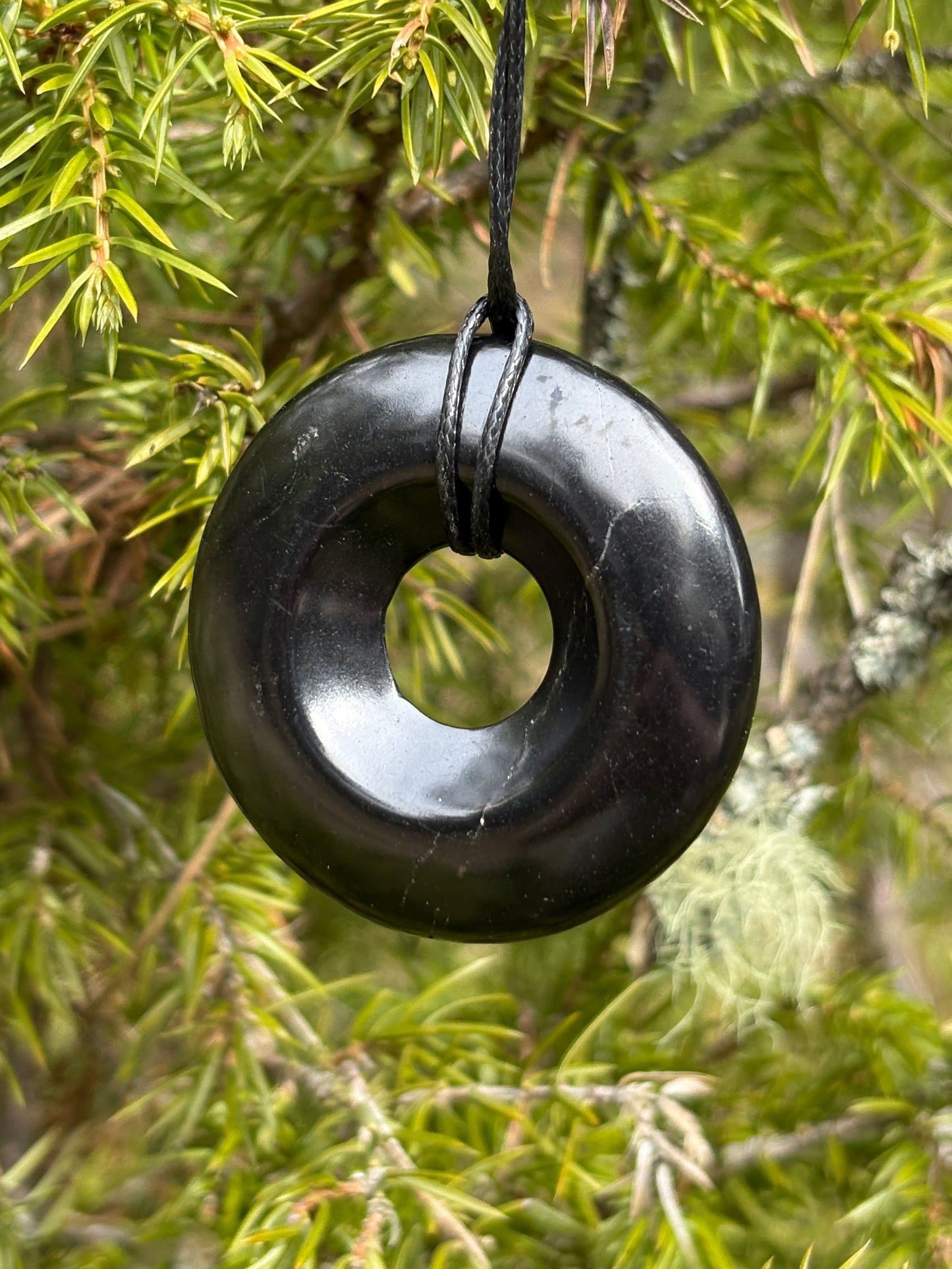 Shungite pendant torus polished Large