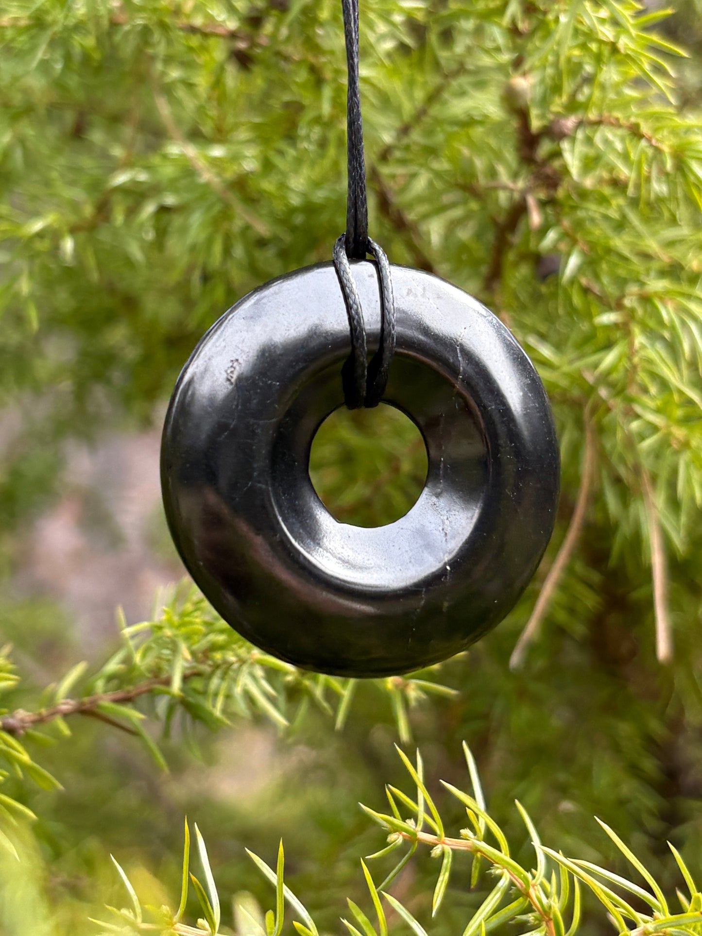 Shungite pendant torus polished Large