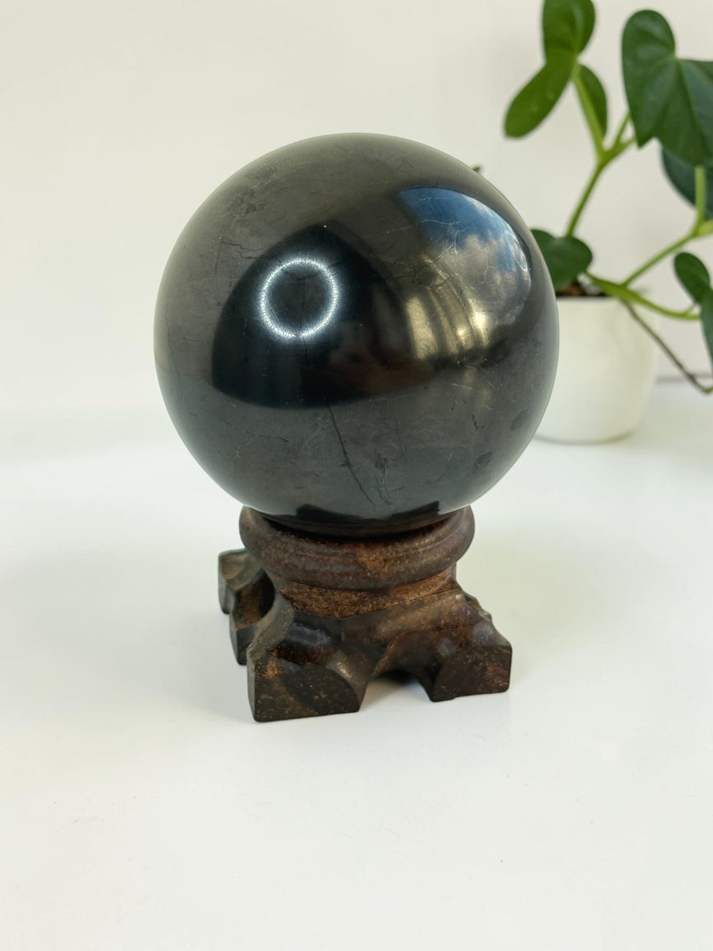 Shungite Sphere on Wooden Stand