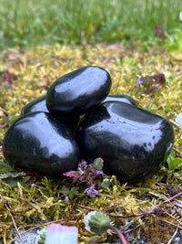 Tumbled polished shungite stones on moss