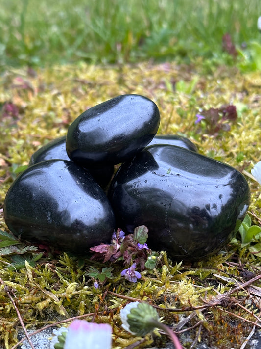 Tumbled Shungite Stones Polished 1pc