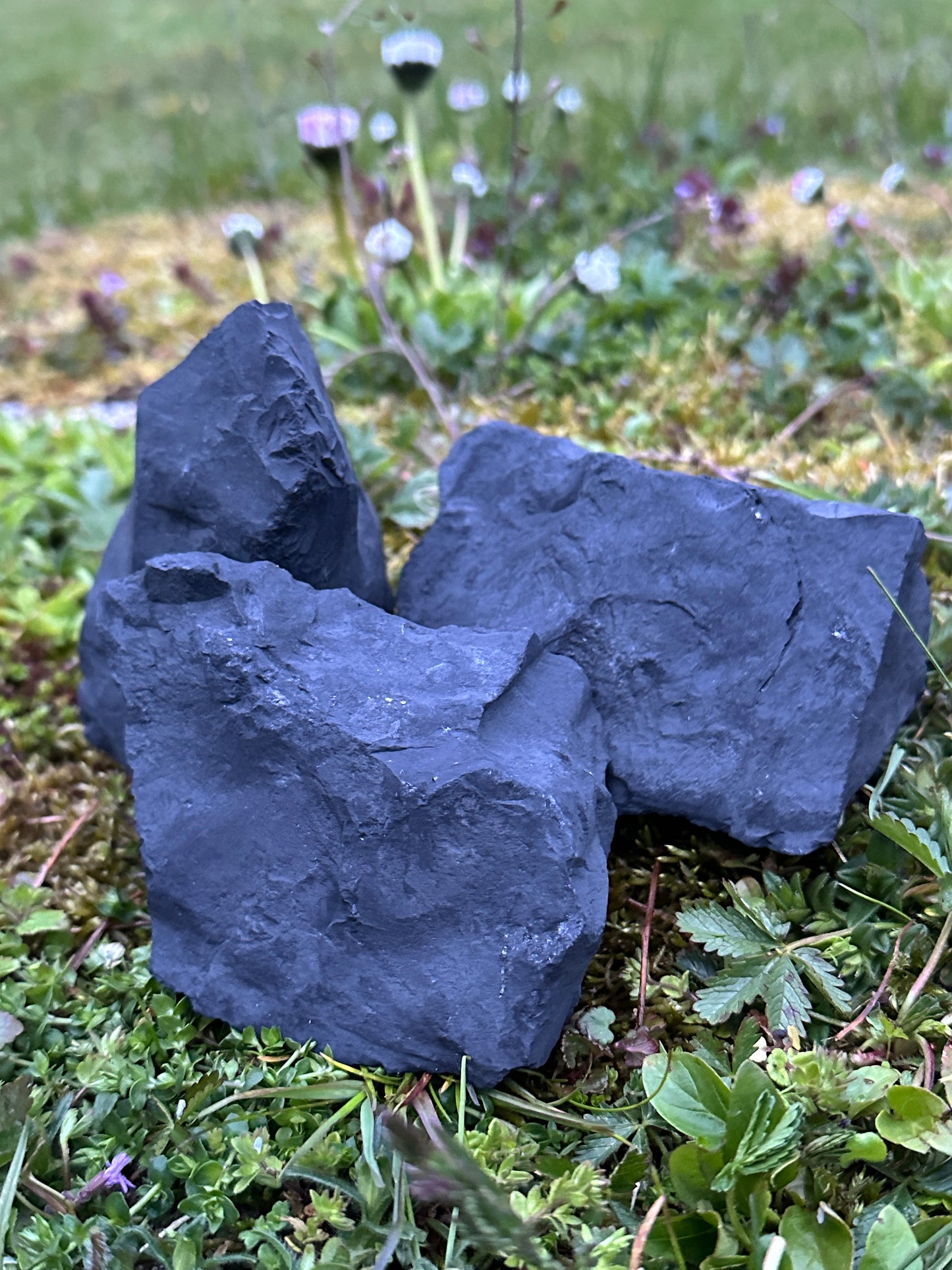 Shungite Raw Big Chunk