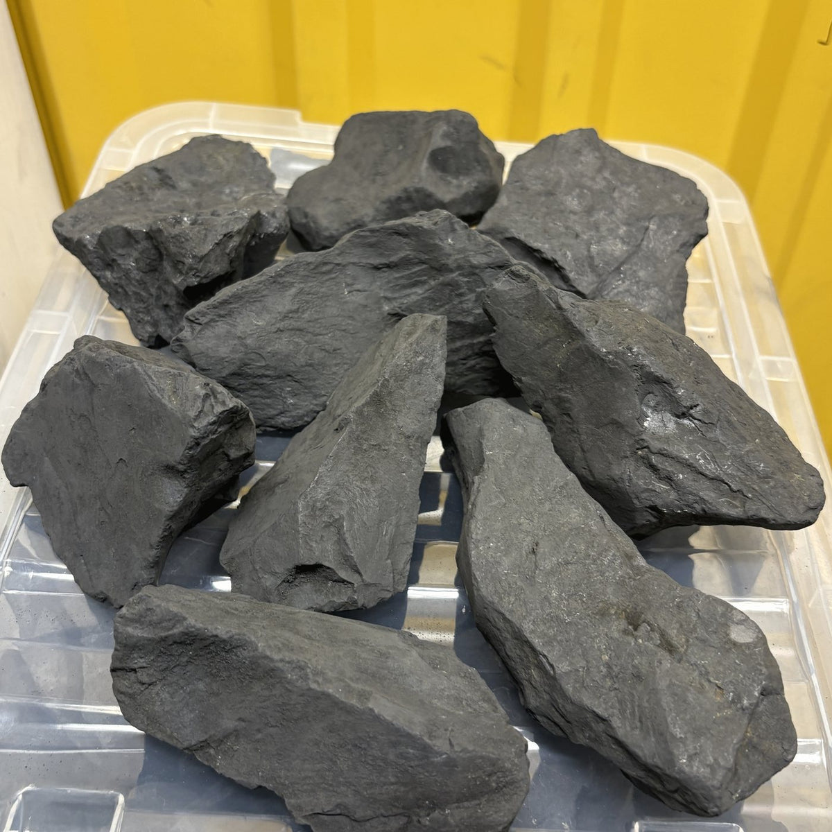 Large raw shungite chunks, 160 to 500 g each, in their container
