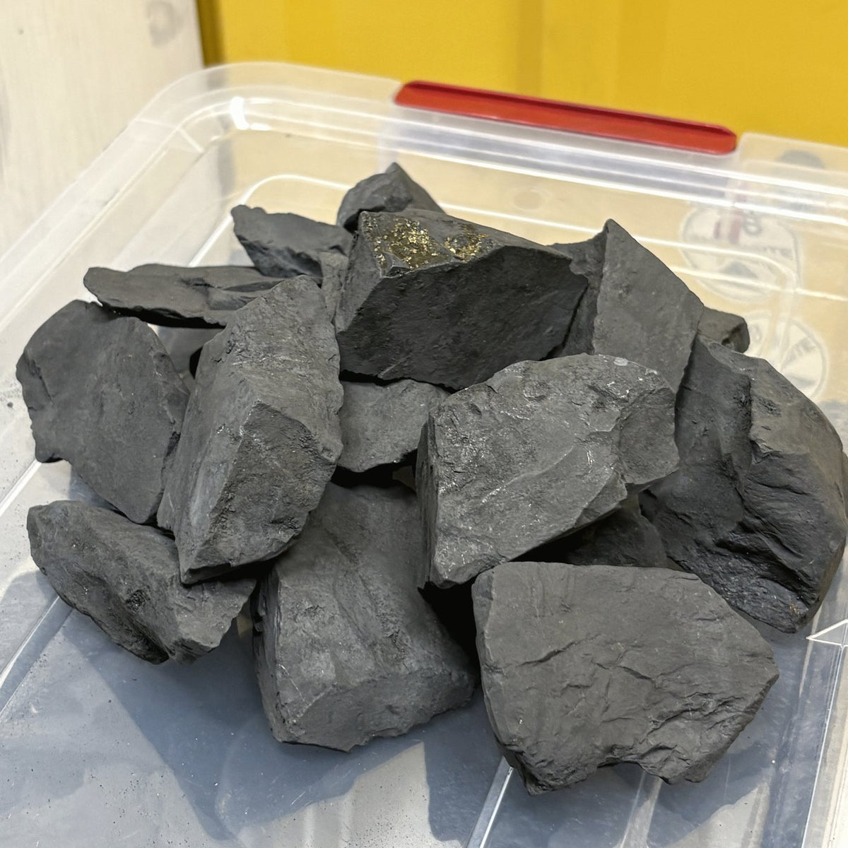 Medium raw shungite pieces, 60 to 150 g each, in their container