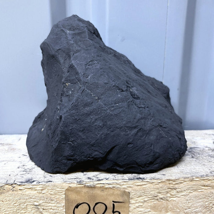 Raw Shungite Specimen 005 — 1339g Block