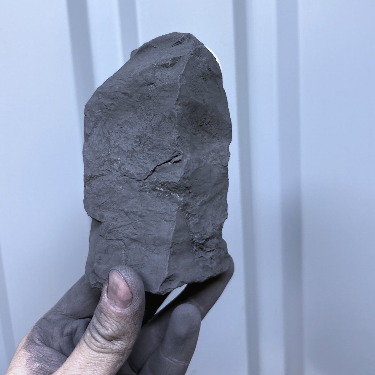 Raw shungite specimen 012, 659 g, held in hand for scale