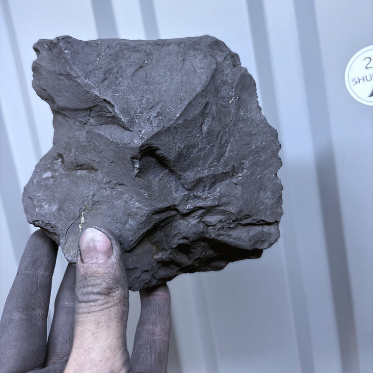 Raw Shungite Specimen 017 — 1088g Shield