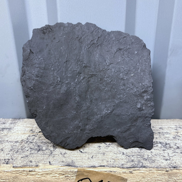 Raw Shungite Specimen 017 — 1088g Shield
