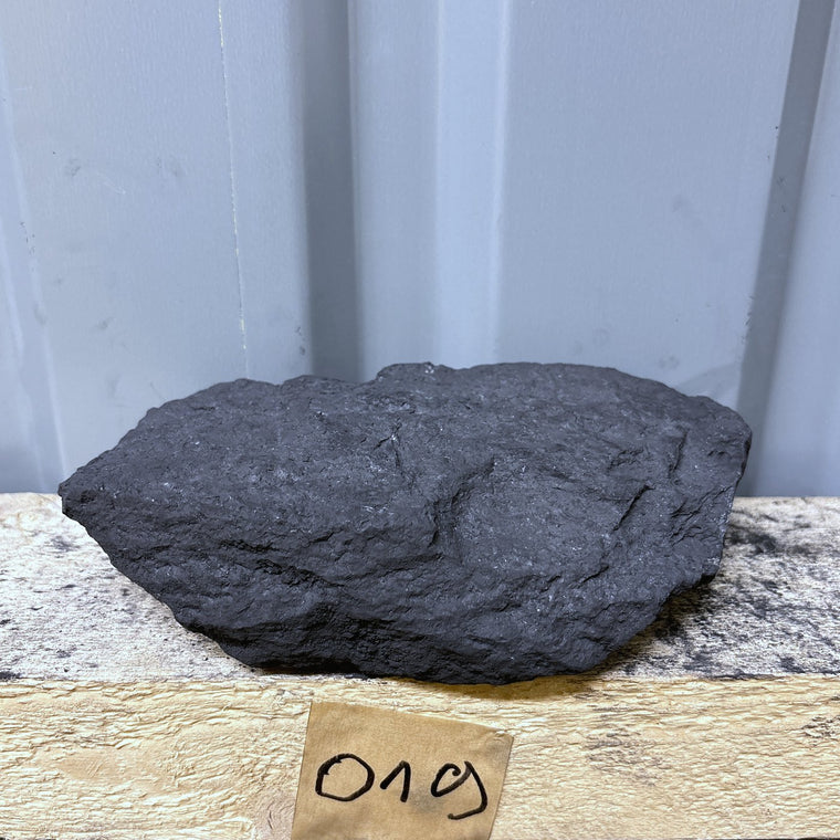 Raw Shungite Specimen 019 — 1269g Oval Slab