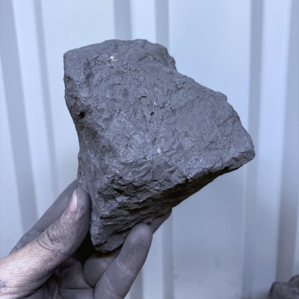 Raw shungite specimen 020, 1153 g, held in hand for scale