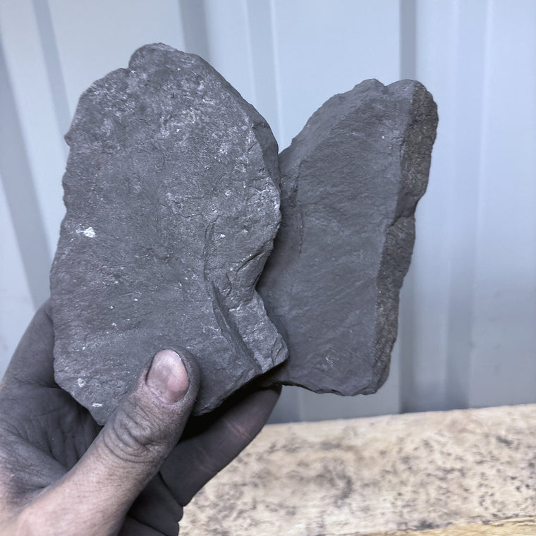 Raw Shungite Specimen 024 — 694g Twin Piece