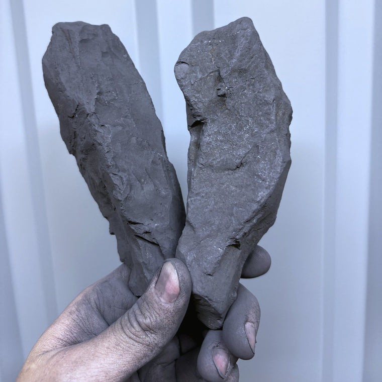 Raw Shungite Specimen 025 — 615g Twin Piece