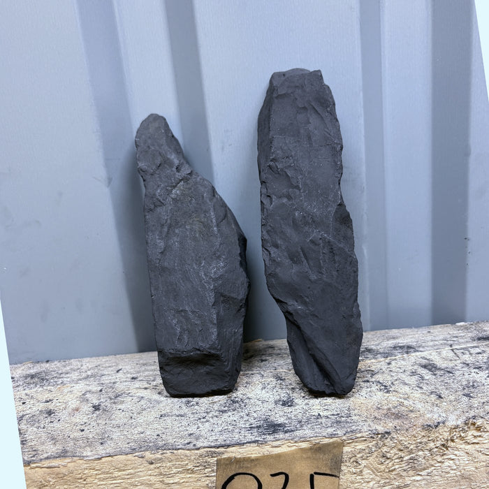 Raw Shungite Specimen 025 — 615g Twin Piece