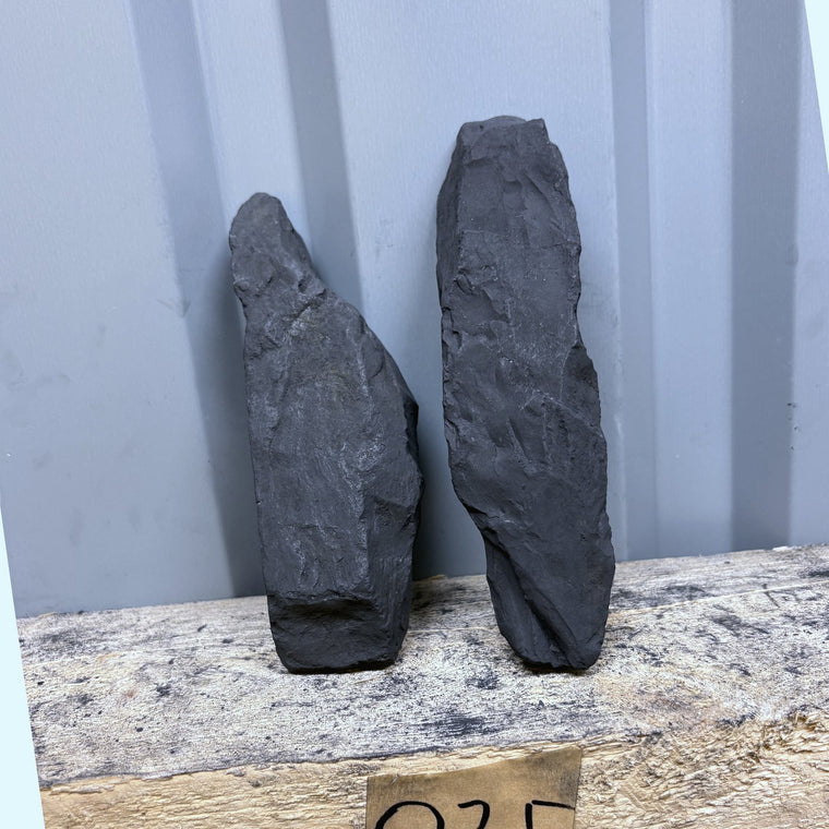 Raw Shungite Specimen 025 — 615g Twin Piece